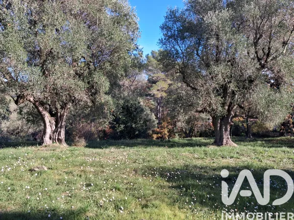 Terrain 3233 m² 