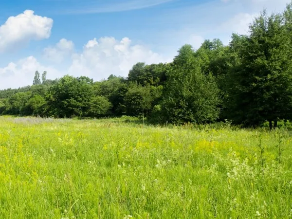 Terrain 675 m² 