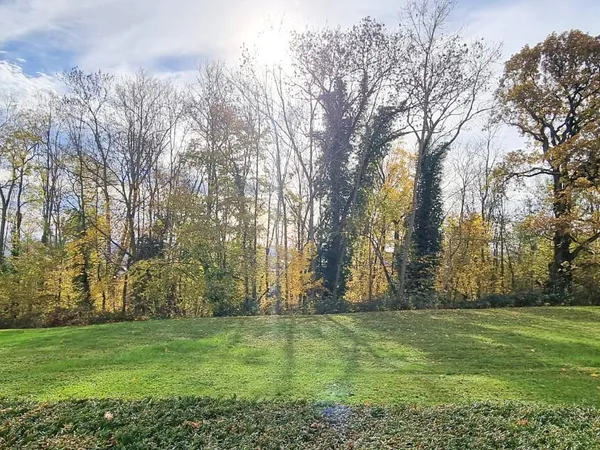 Appartement lumineux avec vue dégagée sur la nature - Parc d 