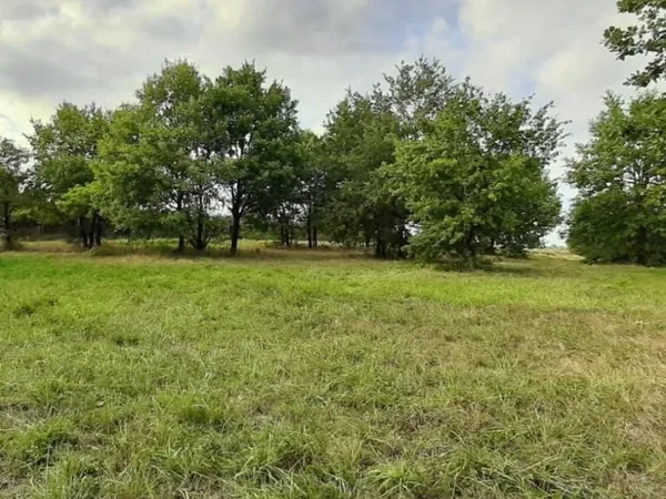 Terrain 1 670 m² Buzet Sur Baise 