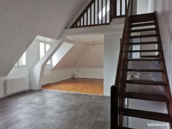 Duplex 1 pièce 36 m² 