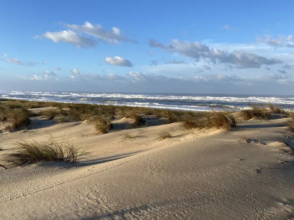 A 2 pas des plages CAP Ferret, Grand DUPLEX avec jardin au calme 