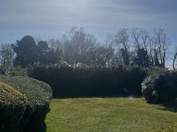 Terrain en individuel 307 m² 