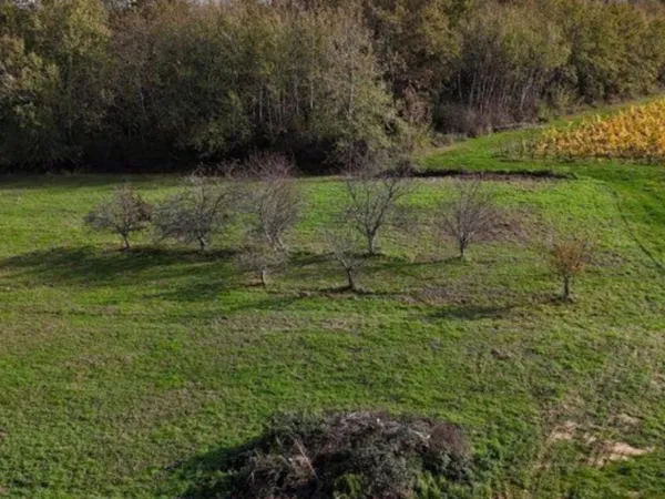 Terrain 755 m² 