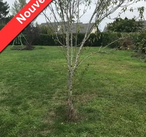 Terrain 618 m² JUIGNE SUR LOIRE 