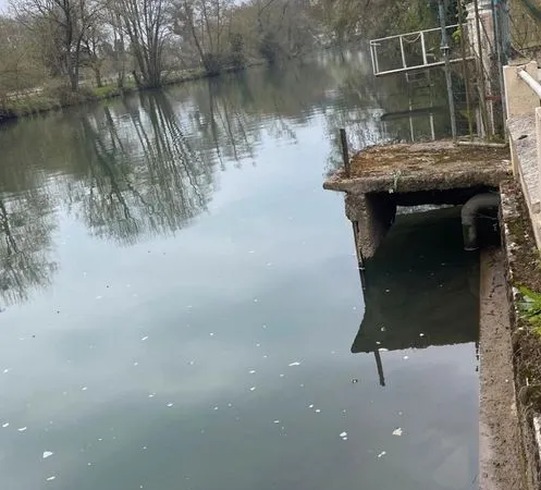 Petit coin de paradis au bord de l'eau... 