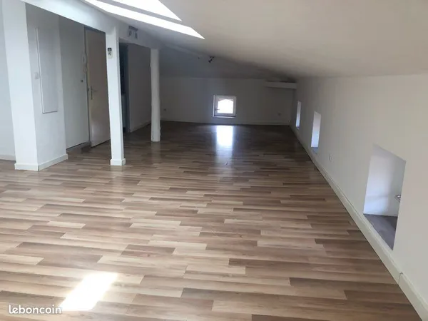 Loft grand appartement 