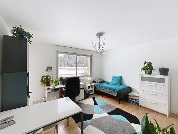 Appartement 1 pièce 29 m² 