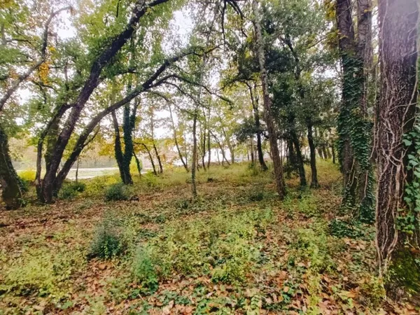 Terrain 700 m² 
