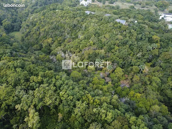 Terrain 1834 m² LES ABYMES 