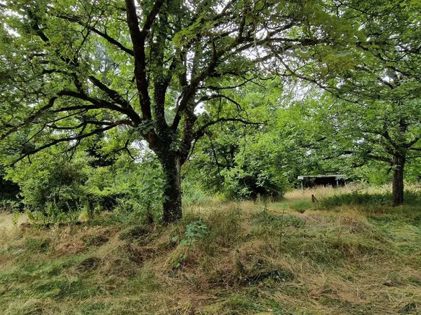 Propriété 