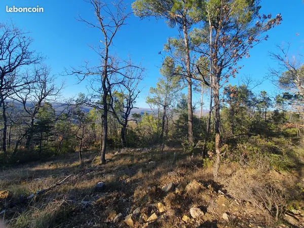 Terrain 20000 m² Châteaudouble 