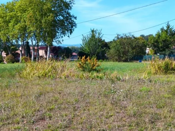 Terrain 653 m² 