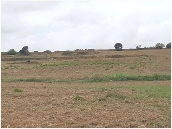 Terrain 83245 m² 