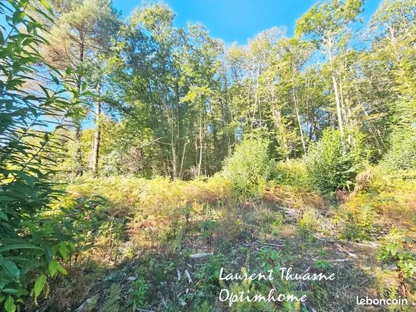 Terrain 10 139 m² Carsac Aillac 