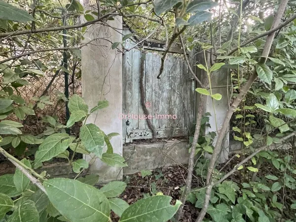 Propriété 4 pièces 72 m² 
