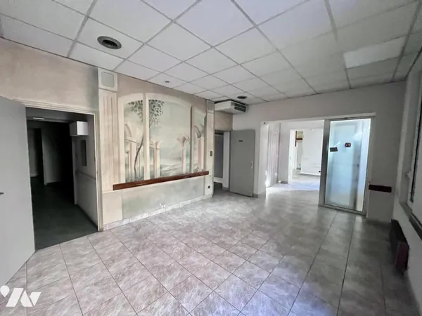 Local professionnel 237 m² 