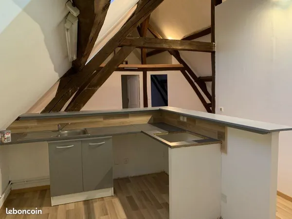 Magnifique type 3 centre de noailles 