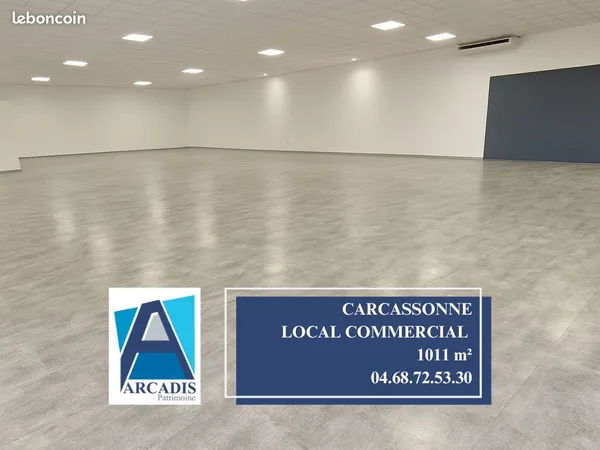 Local 1011 m² CARCASSONNE 