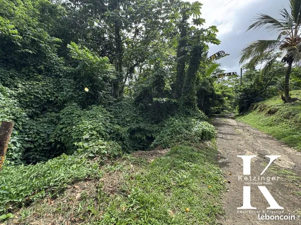 Terrain 1400 m² Le Lamentin 
