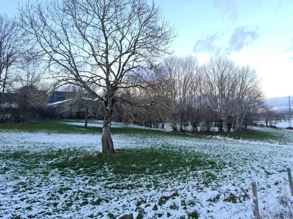 Montcheneix - Parcelle de terrain de 4 035 m² avec potentiel de division 