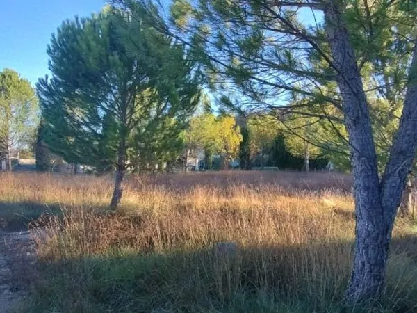 Terrain 1524 m² 