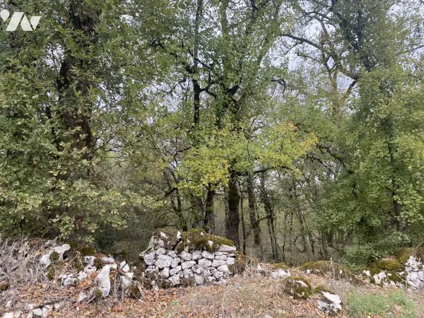 Terrain 4305 m² 