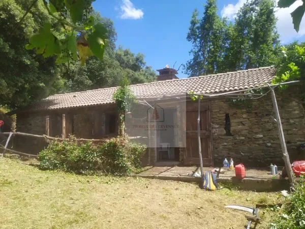 Mazet et terrain 