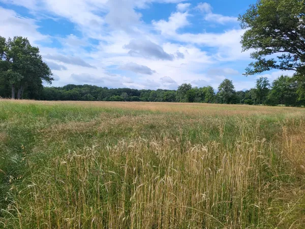 Pâturages de grande qualité dans l'Indre 