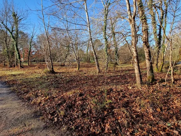 Magnifique terrain à vendre à Mezos 