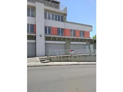A louer Locaux commerciaux Le Marin 237 m2 