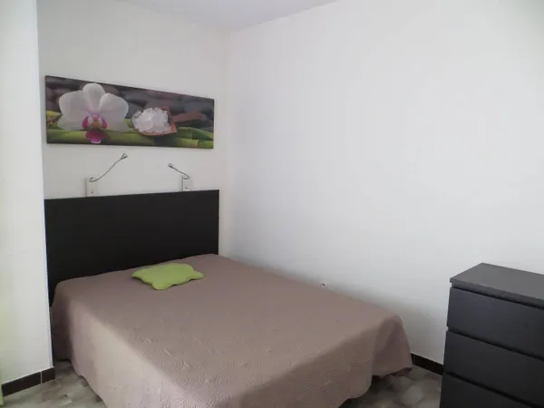 Studio 19 m² 