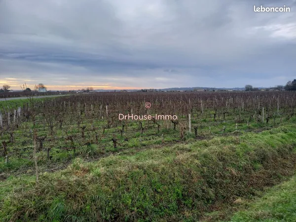 Terrain 9540 m² saint sulpice de faleyrens 