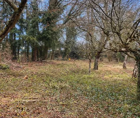 Terrain arboré 1263m² 