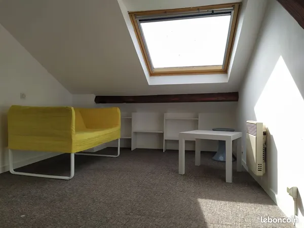 Appartement de 25m² (16m² loi carrez) - Centre ville 