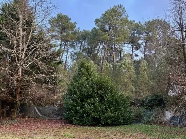 Terrain 700 m² Martillac 