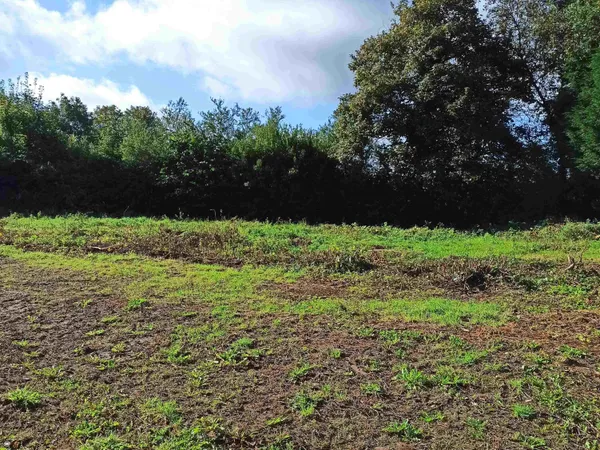 Terrain en individuel 1500 m² 