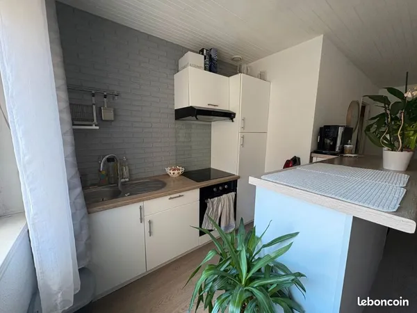 Appartement T2 44 m2 