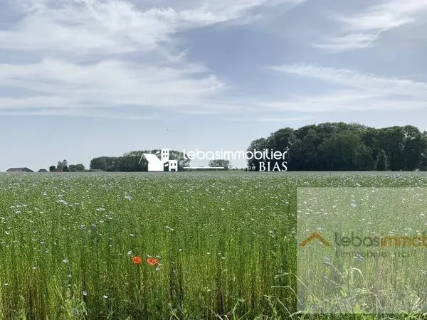 Terrain 704 m² 