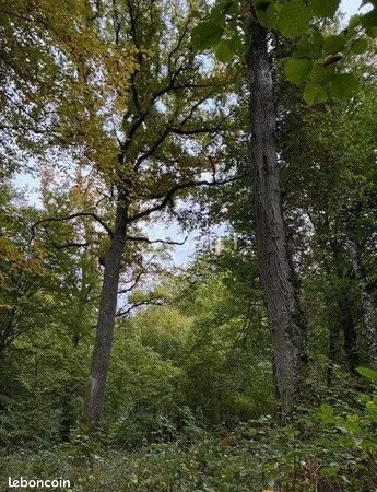 Terrain 270000 m² 
