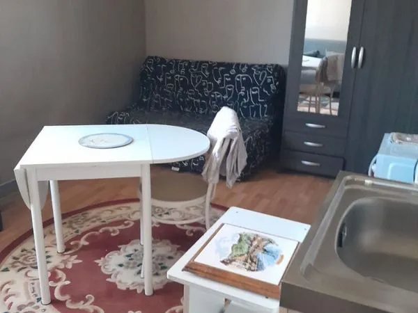 Studio 17 m² CHALETTE SUR LOING 