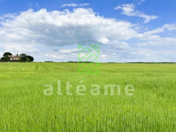 Terrain 891 m² 