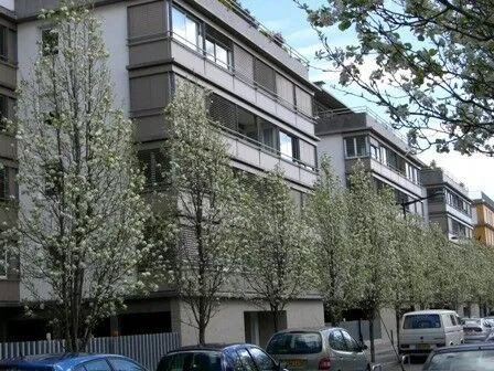 T3 BORDEAUX CHARTRONS 