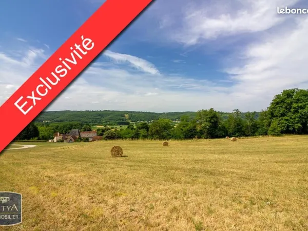 Terrain 8 615 m² Castels Et Bezenac 
