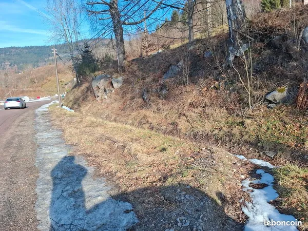 Petit terrain 