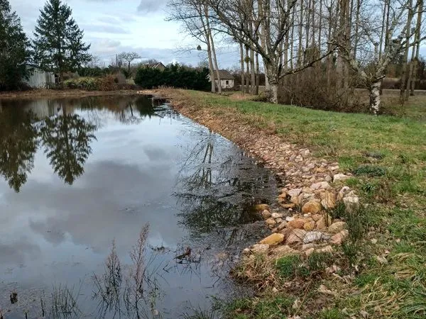 A vendre étangs et terrains 