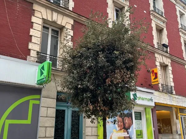 Appartement 2 pièces 39 m² 