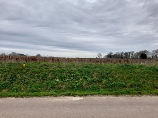Terrain 1000 m² 