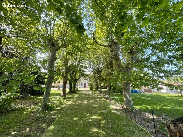 Bâtisse en pierre à rafraichir - 3 chambres - 126 m2 