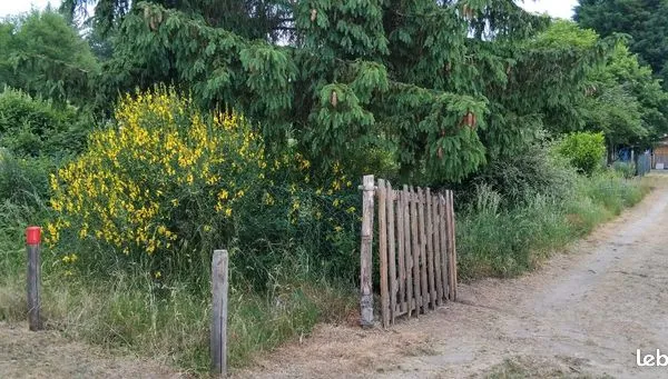 Terrain 1660 m² 